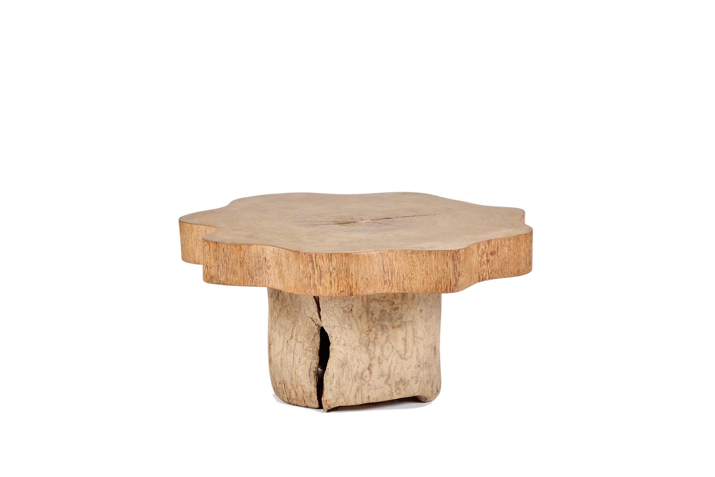 Jose Zanine Caldas Low Table en vente 5