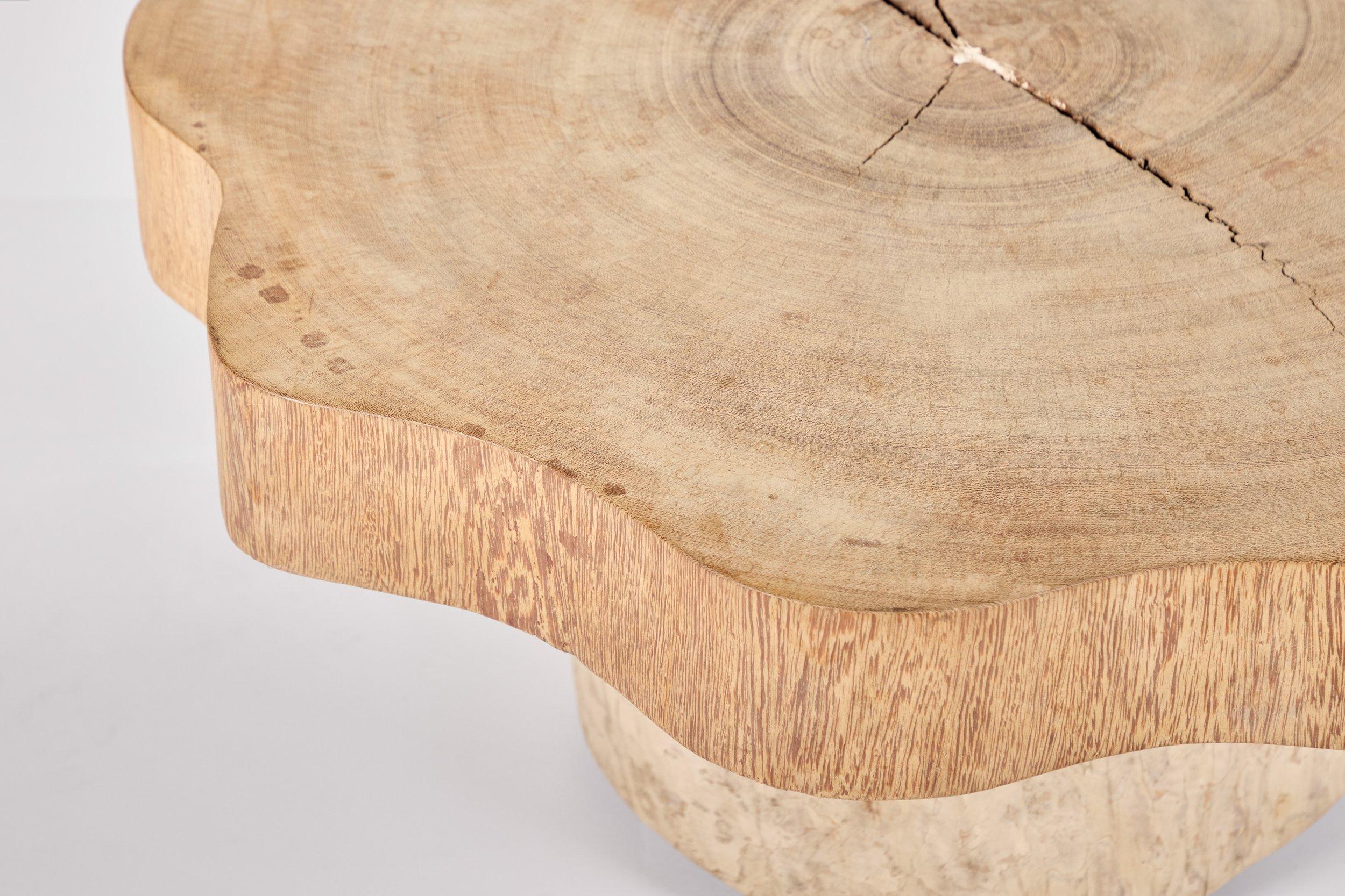  Table basse sculptée par Jose Zanine Caldas. Bois dur brésilien, Brésil, années 1970. Cette remarquable table sculptée à la main est l'œuvre de l'artiste brésilien José Zanine Caldas. Lorsque Zanine Caldas est retourné dans son État natal de Bahia,