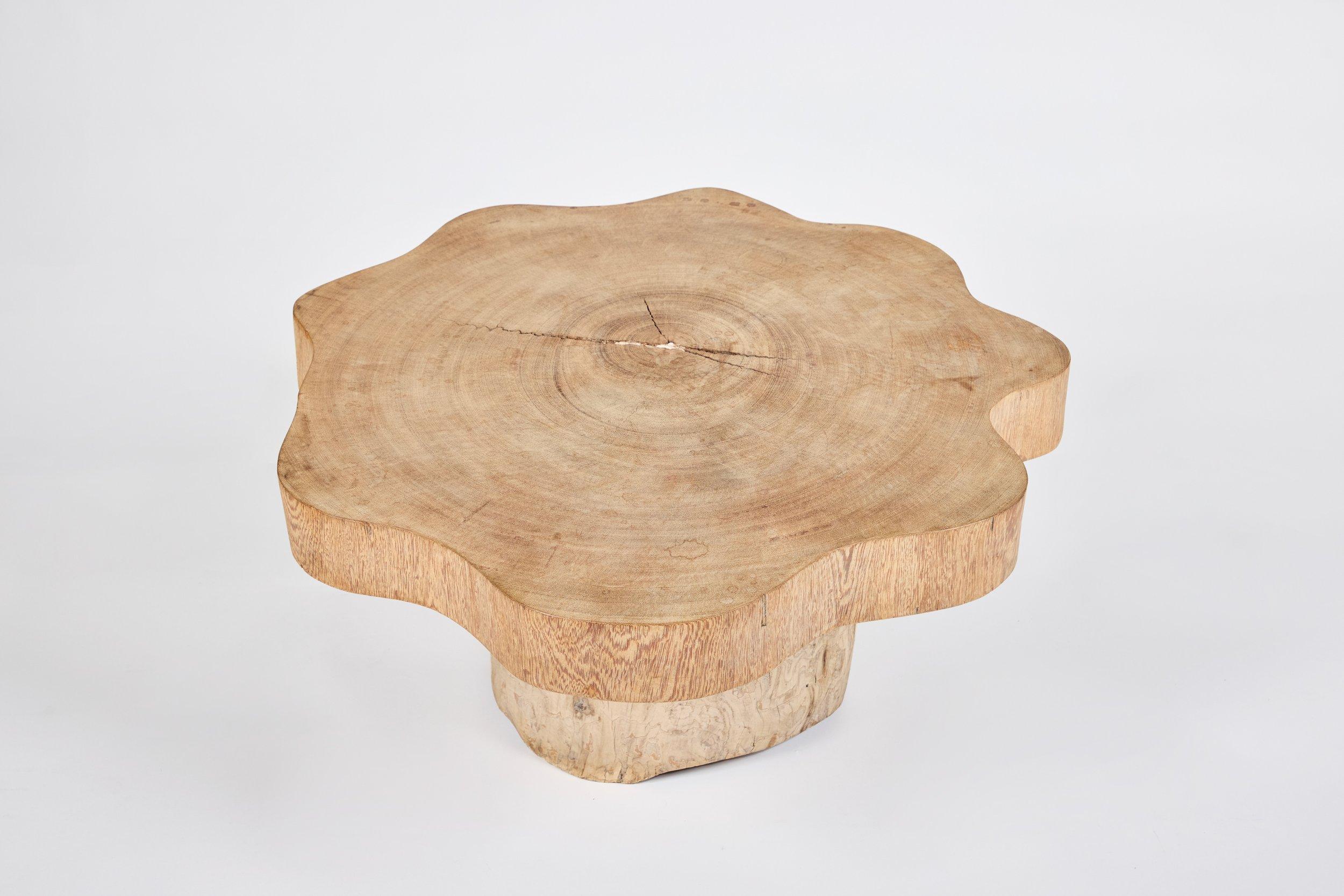 Brésilien Jose Zanine Caldas Low Table en vente