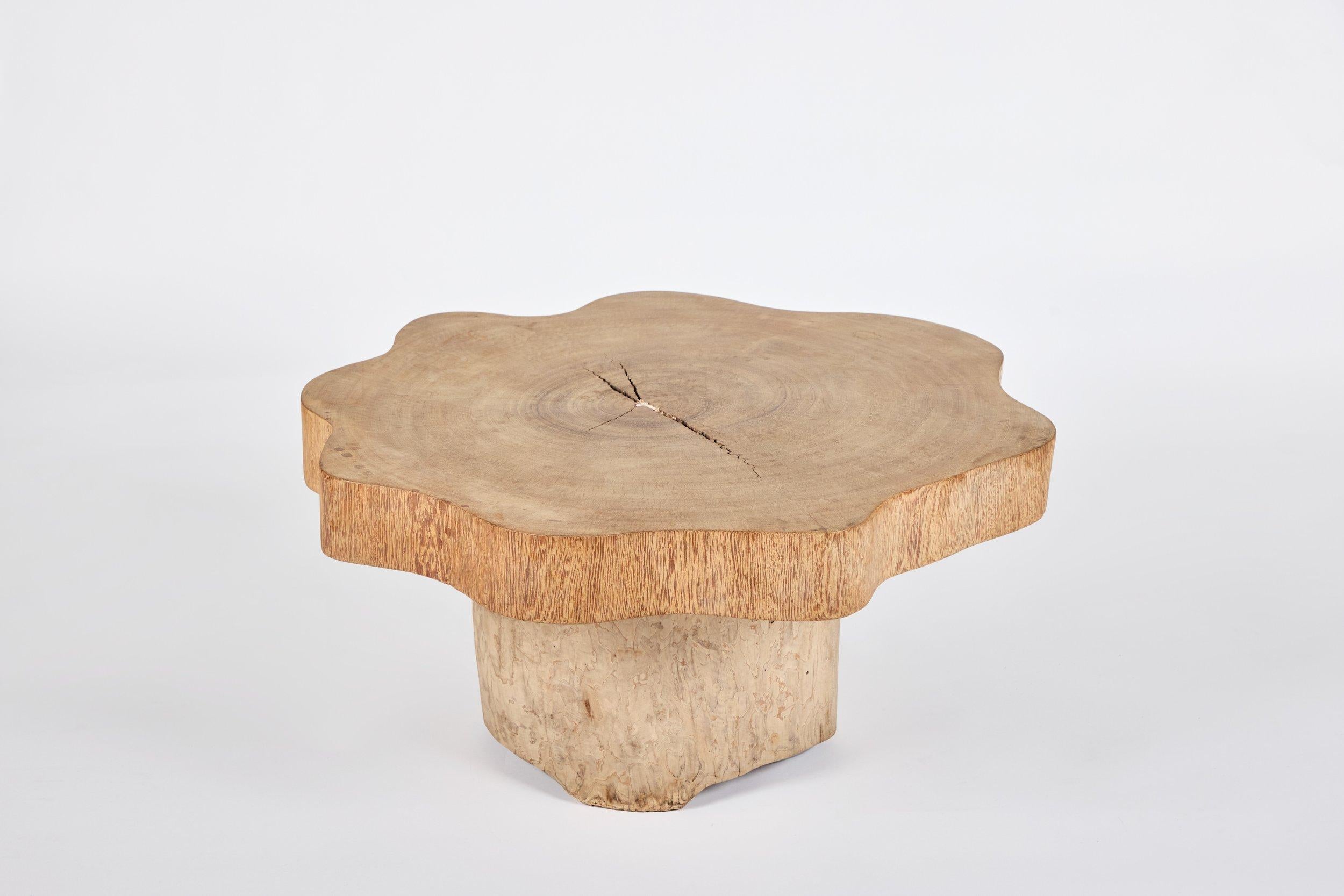 Jose Zanine Caldas Low Table Excellent état - En vente à Studio City, CA