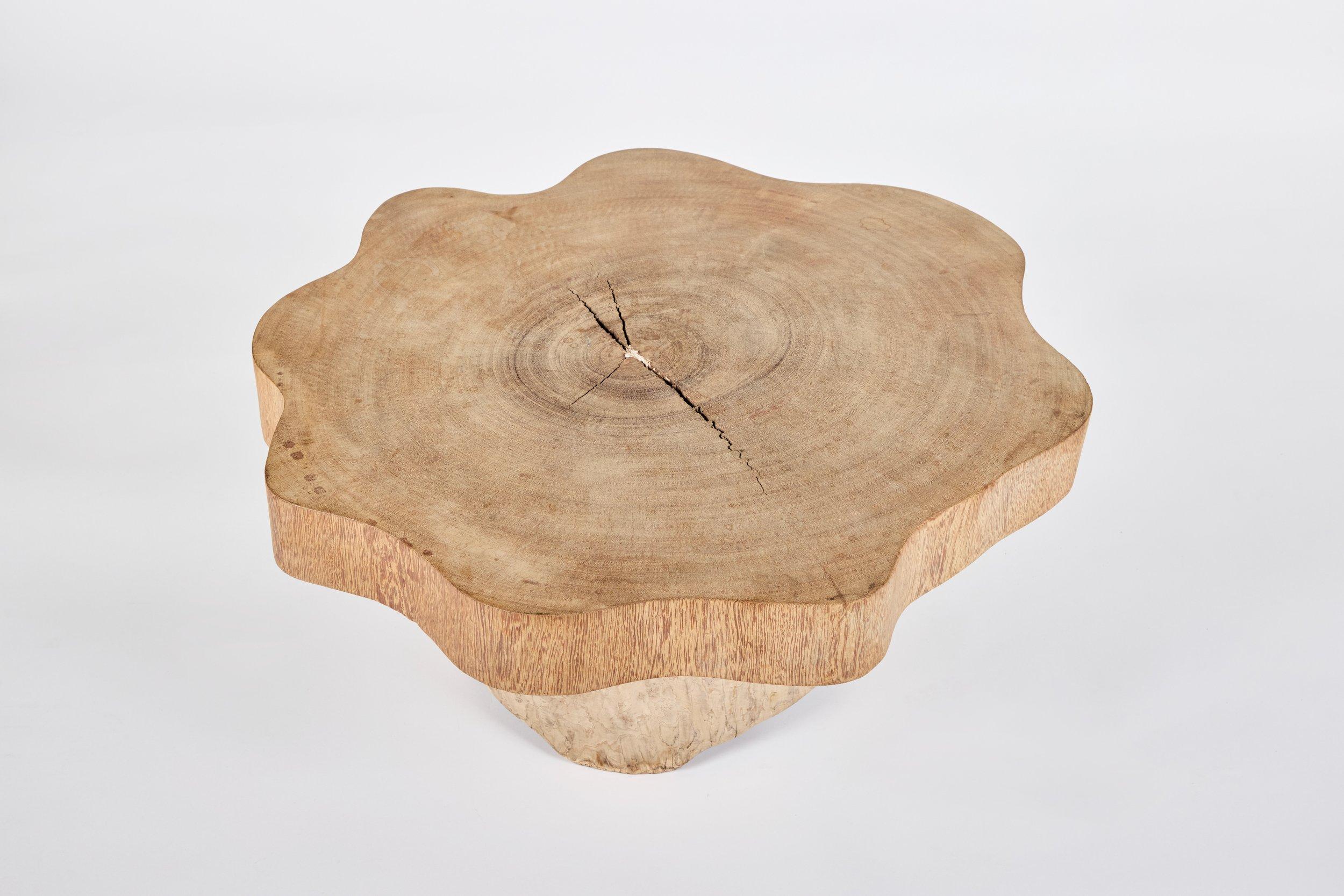 Milieu du XXe siècle Jose Zanine Caldas Low Table en vente
