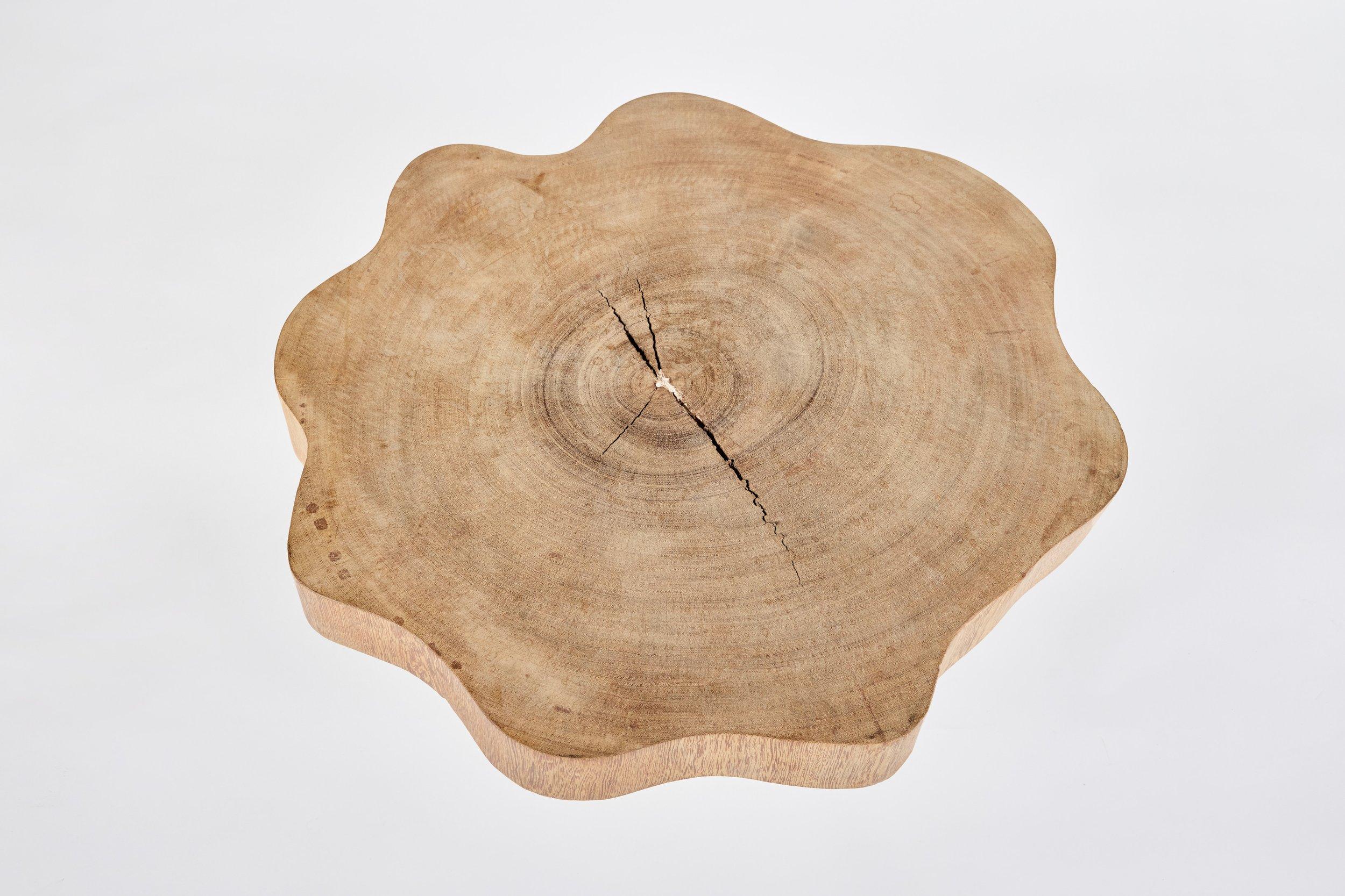 Jose Zanine Caldas Low Table en vente 1
