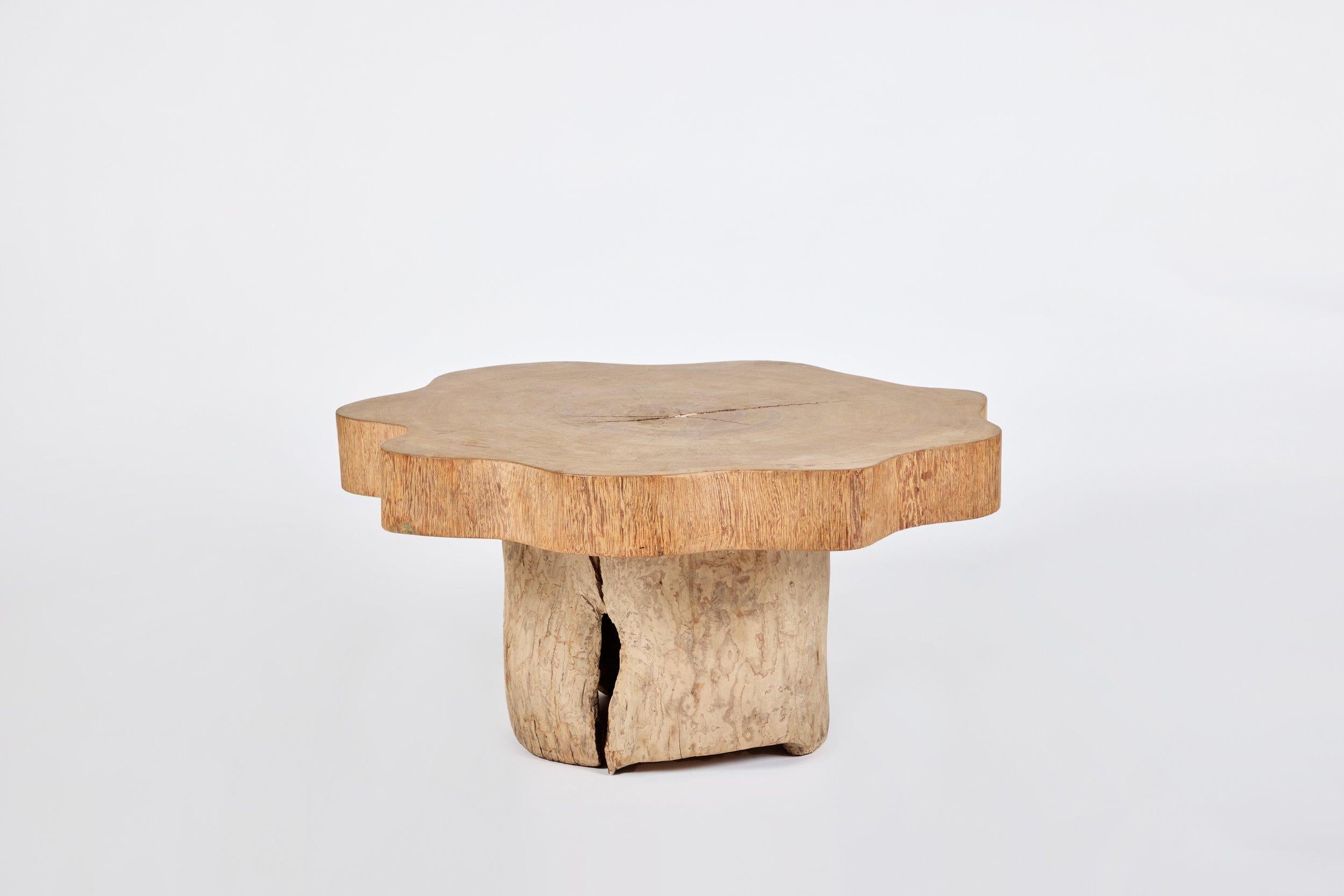 Jose Zanine Caldas Low Table en vente 2