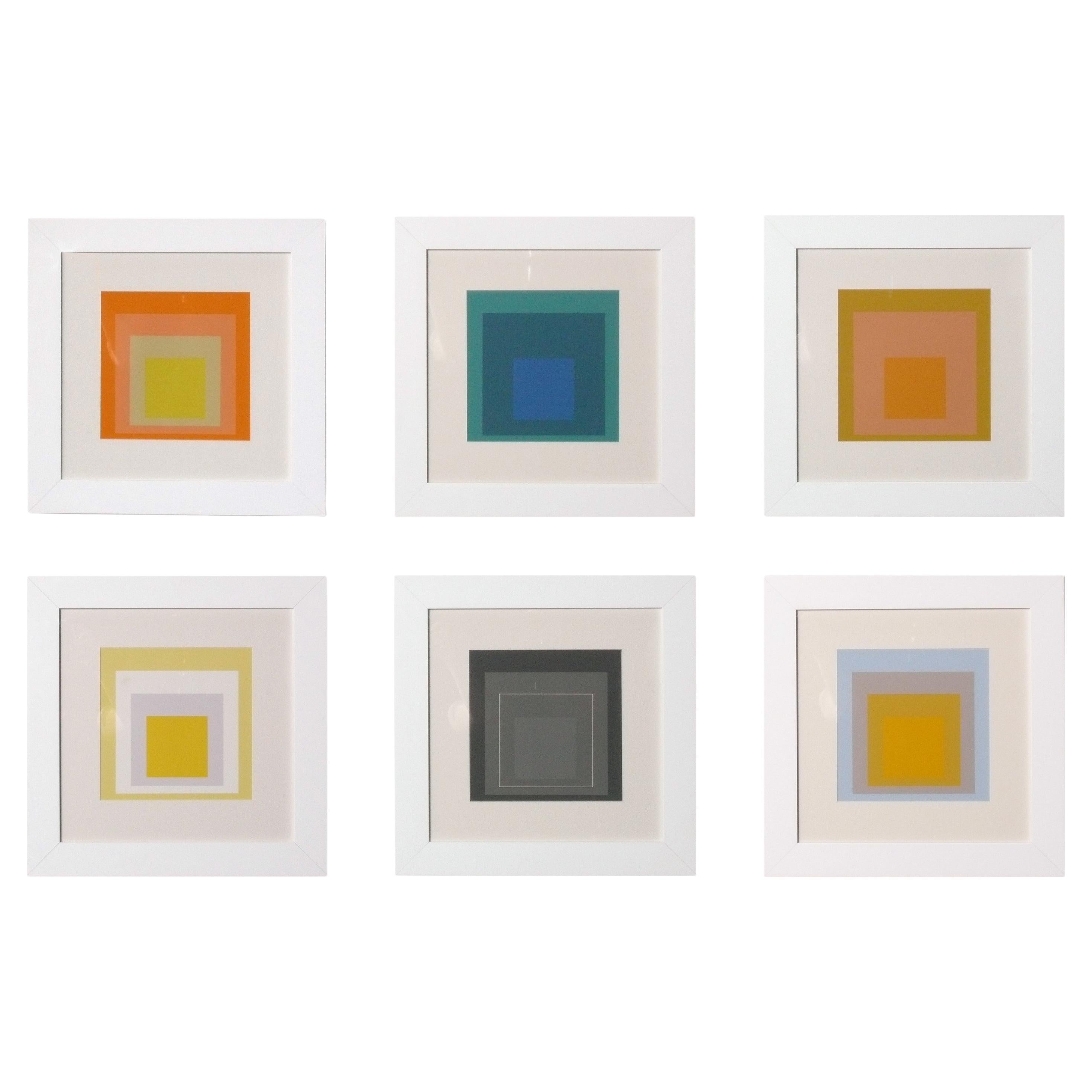 Josef Albers Hommage an das Quadrat Serigraphien Satz von sechs neu gerahmt Mitte des Jahrhunderts im Angebot