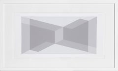 Biconjugate: Vice Versa - P1, F9, I1, Geometrischer Raumteiler von Josef Albers