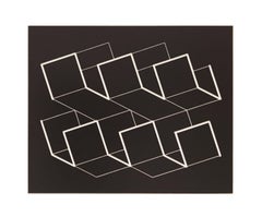 from "Structural Constellations" - Abstract, engraving, geometric, black, white