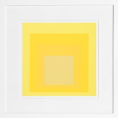 Vintage Homage to the Square from Formulation: Articulation by Josef Albers 1972