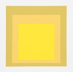 Homage to the Square from Formulation: Articulation