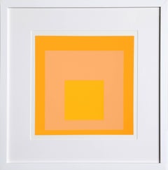 Homage to the Square from Formulation: Articulation