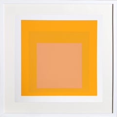 Homage to the Square from Formulation: Articulation