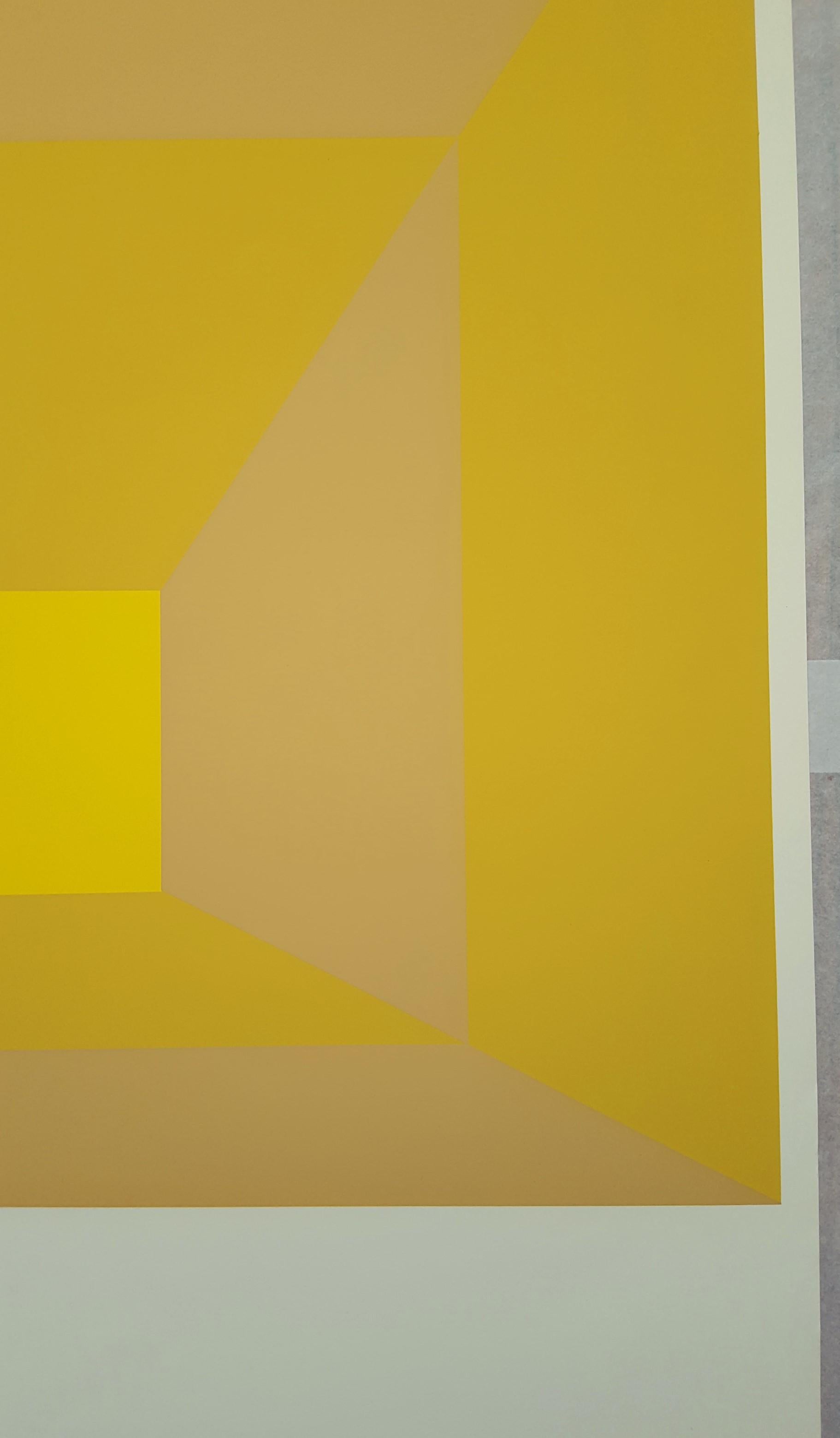 Josef Albers at the Metropolitan Museum of Art 9