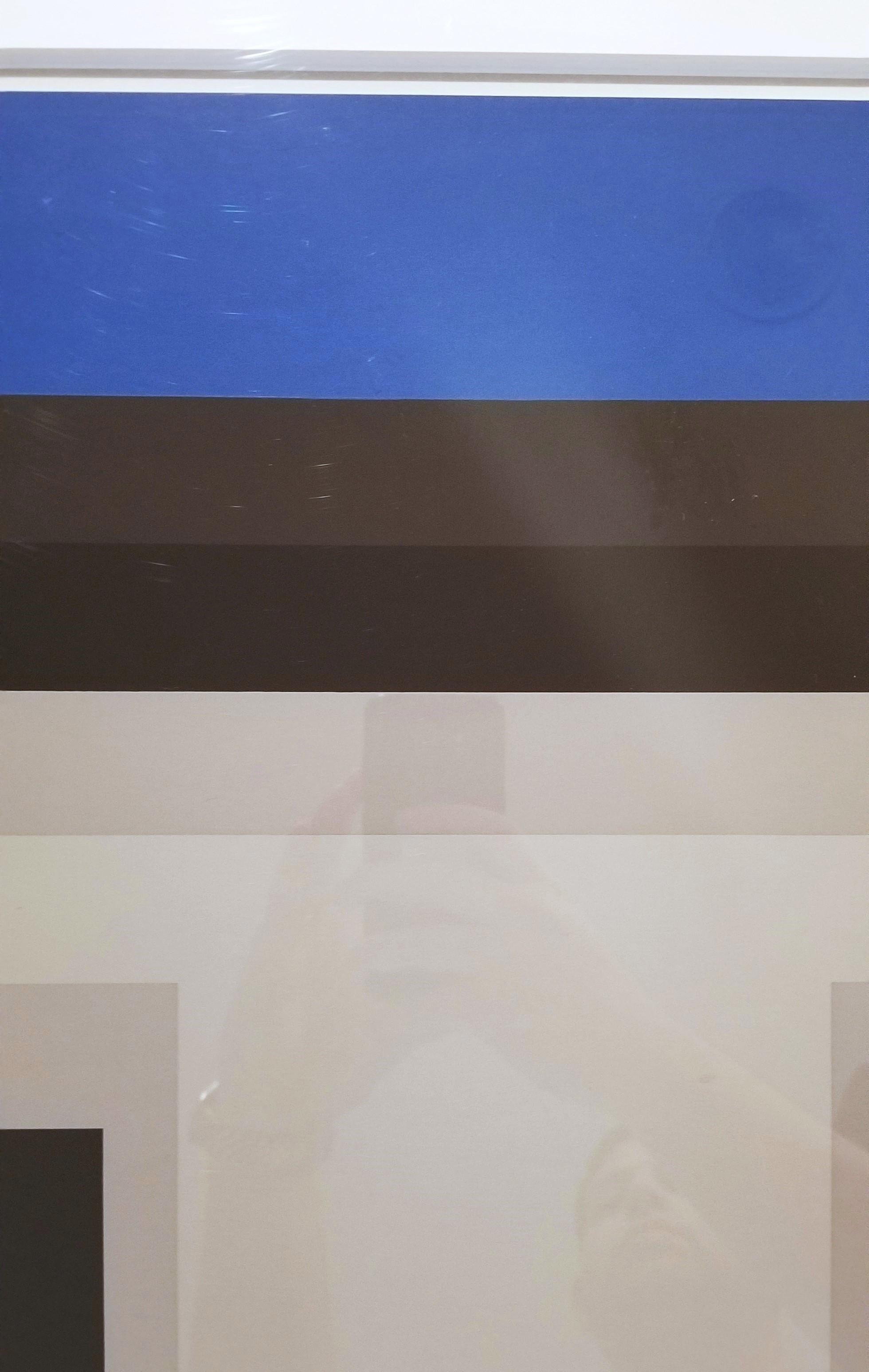 MMA-3 Variant /// Josef Albers Abstract Geometric Screenprint Color Field Theory For Sale 10