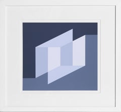 Ambiguità percettiva - P2, F25, I2, Serigrafia geometrica di Josef Albers