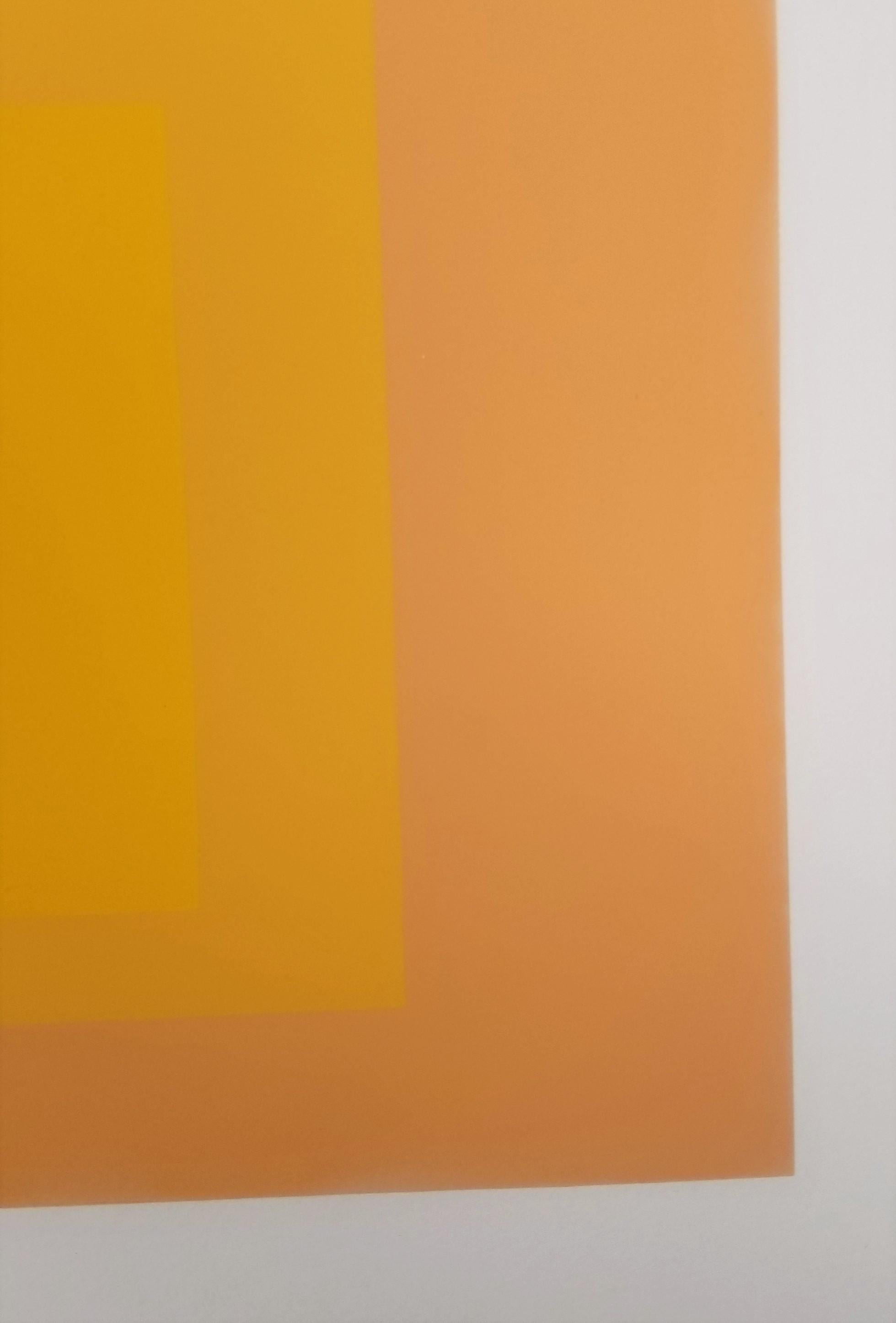 Tenuous /// Bauhaus Abstrakter geometrischer Josef Albers-Raumteiler Minimal Orange 13