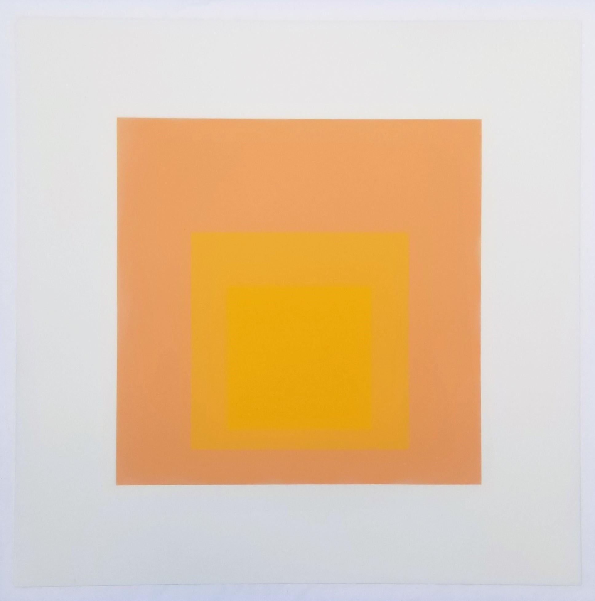 Tenuous /// Bauhaus Abstrakter geometrischer Josef Albers-Raumteiler Minimal Orange 2