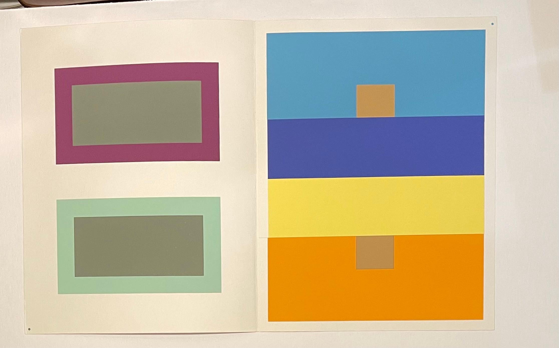 Josef Albers Abstract Print - THE INTERACTION OF COLOR