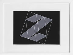 Vintage Z Prism - P2, F16, I2, Framed Silkscreen by Josef Albers