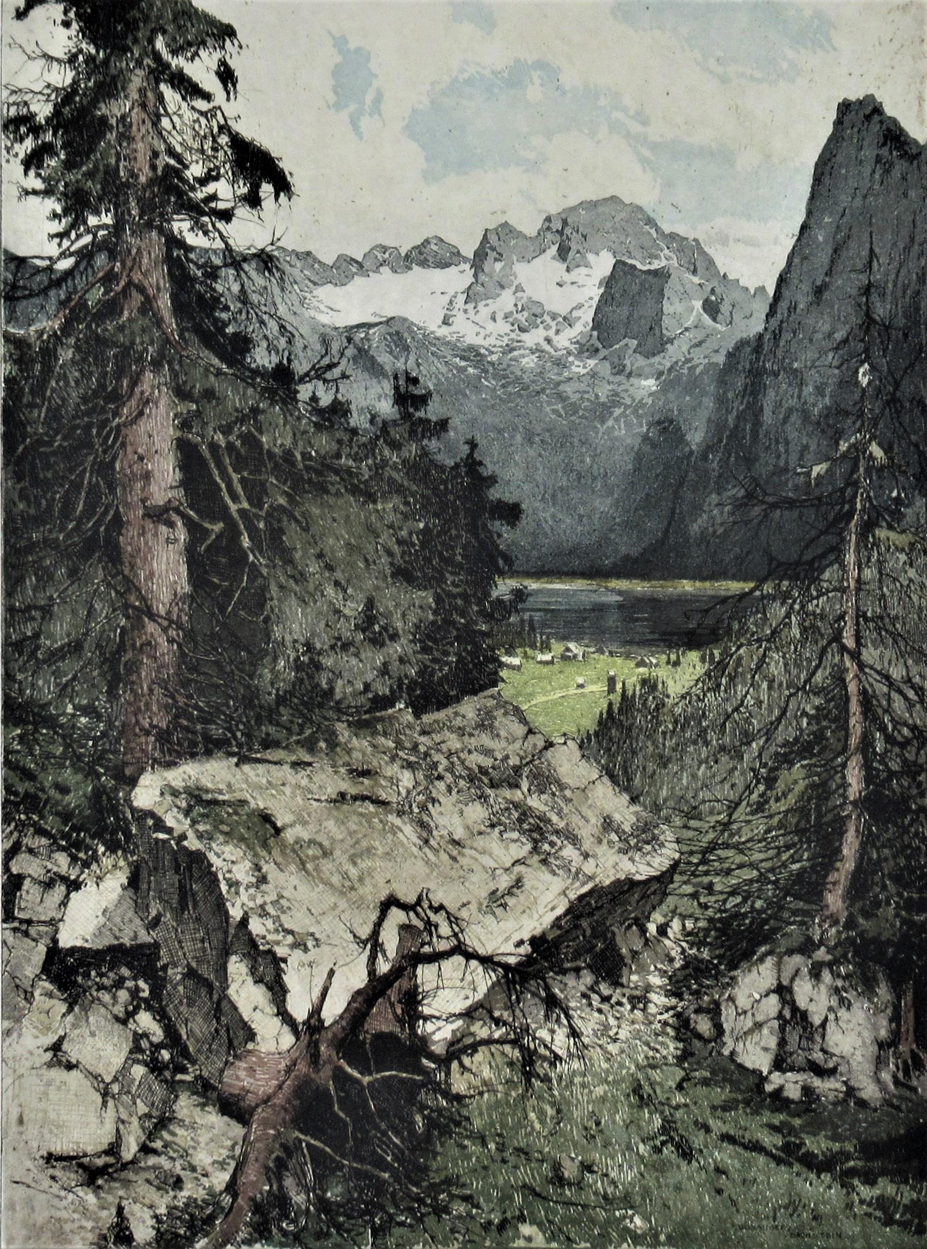 Dachstein View, Mountain Pine, Austria - Print by Josef Eidenberger