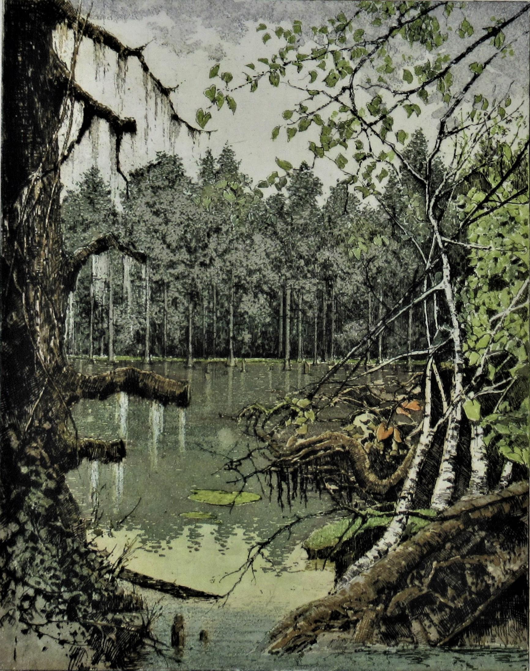 Louisiana Bayou - Print by Josef Eidenberger