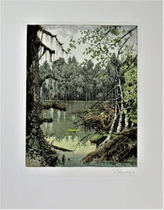 Louisiana Bayou ( Louisiana)