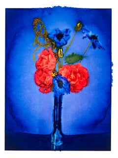AZUL, Flores, Fotografía, Color, abstracto, naturaleza muerta