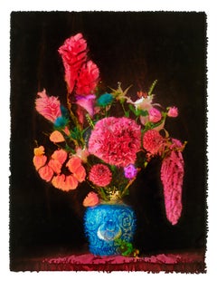 CECIL, Flowers, Photography, Color, abstract, still life