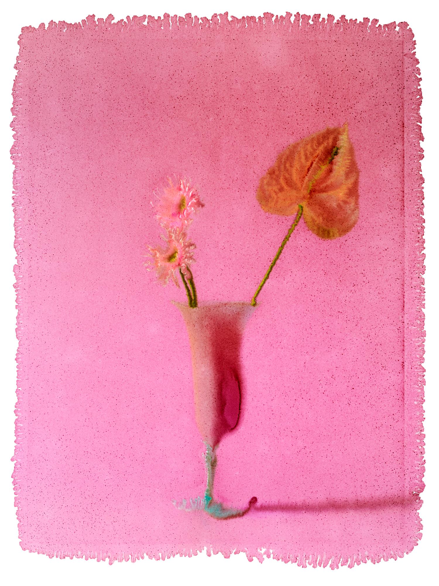 DEEP PINK, Flowers, Photography, Color, abstract, still life
