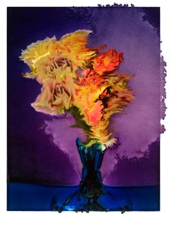 DIANA, Blumen, Fotografie, Farbe, abstrakt, Stillleben