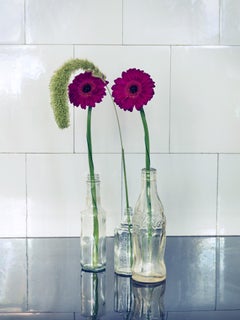 GONZO, Erotica, Photography, Color, Nude