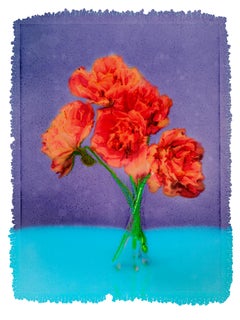 LILI, Flowers, Photography, Color, abstract, still life