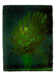 LUDWIG, Flowers, Photography, Color, abstract, still life