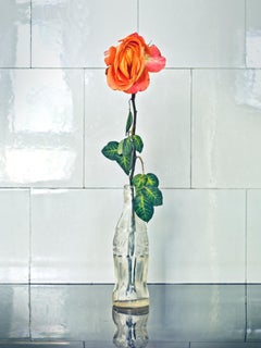 MICHOU, Erotica, Photography, Color, Nude