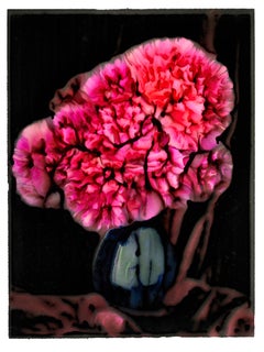 POLARIS, Flowers, Photography, Color, abstract, still life