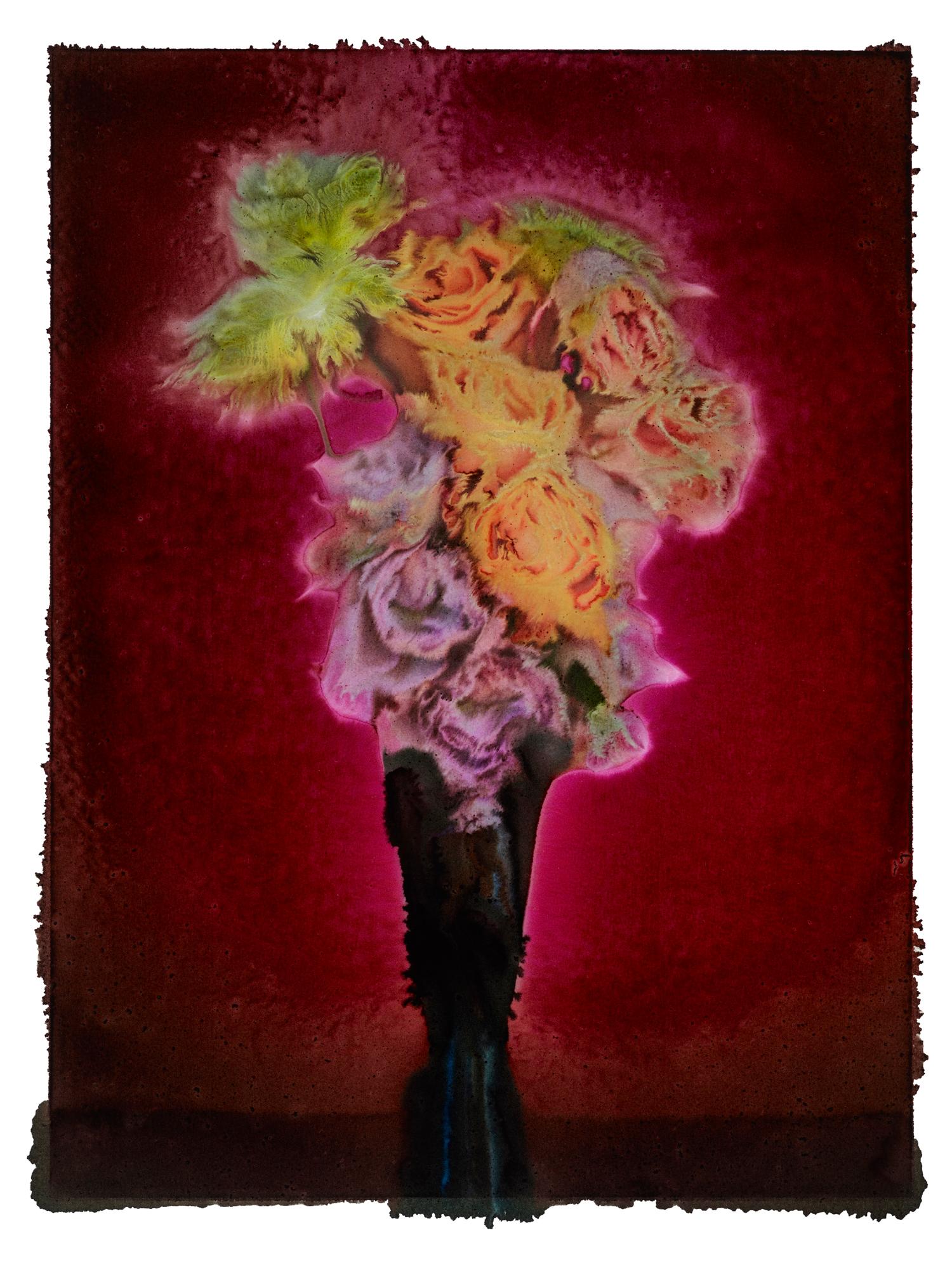 ROSÉ, Blumen, Fotografie, Farbe, abstrakt, Stillleben