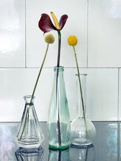 SEAN, Erotica, Photography, Color, Nude