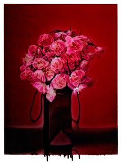 VICTORIA, Flores, Fotografía, Color, abstracto, naturaleza muerta