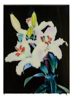 VIKTOR, Blumen, Fotografie, Farbe, abstrakt, Stillleben
