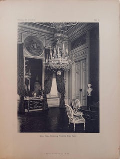 Plate 12 : Vienna,  Palais Erzherzog Friedrich, Red Salon