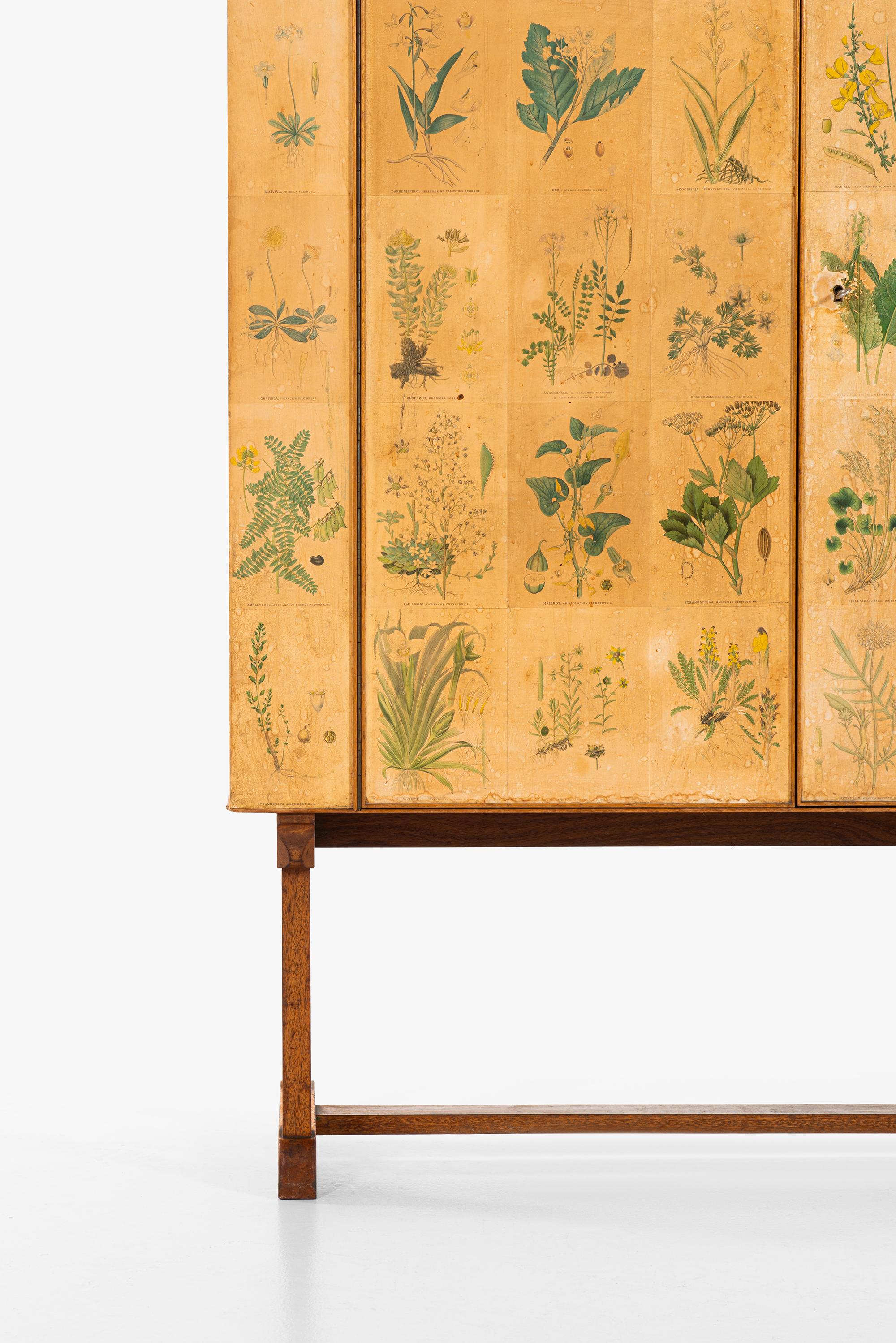 josef frank flora cabinet