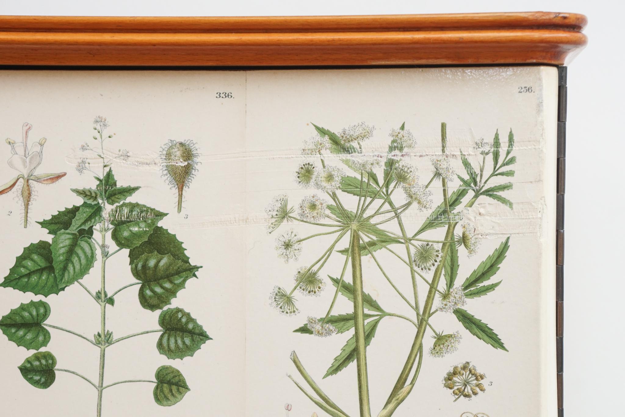 Josef Frank Style Swedish Botanical Cabinet 3