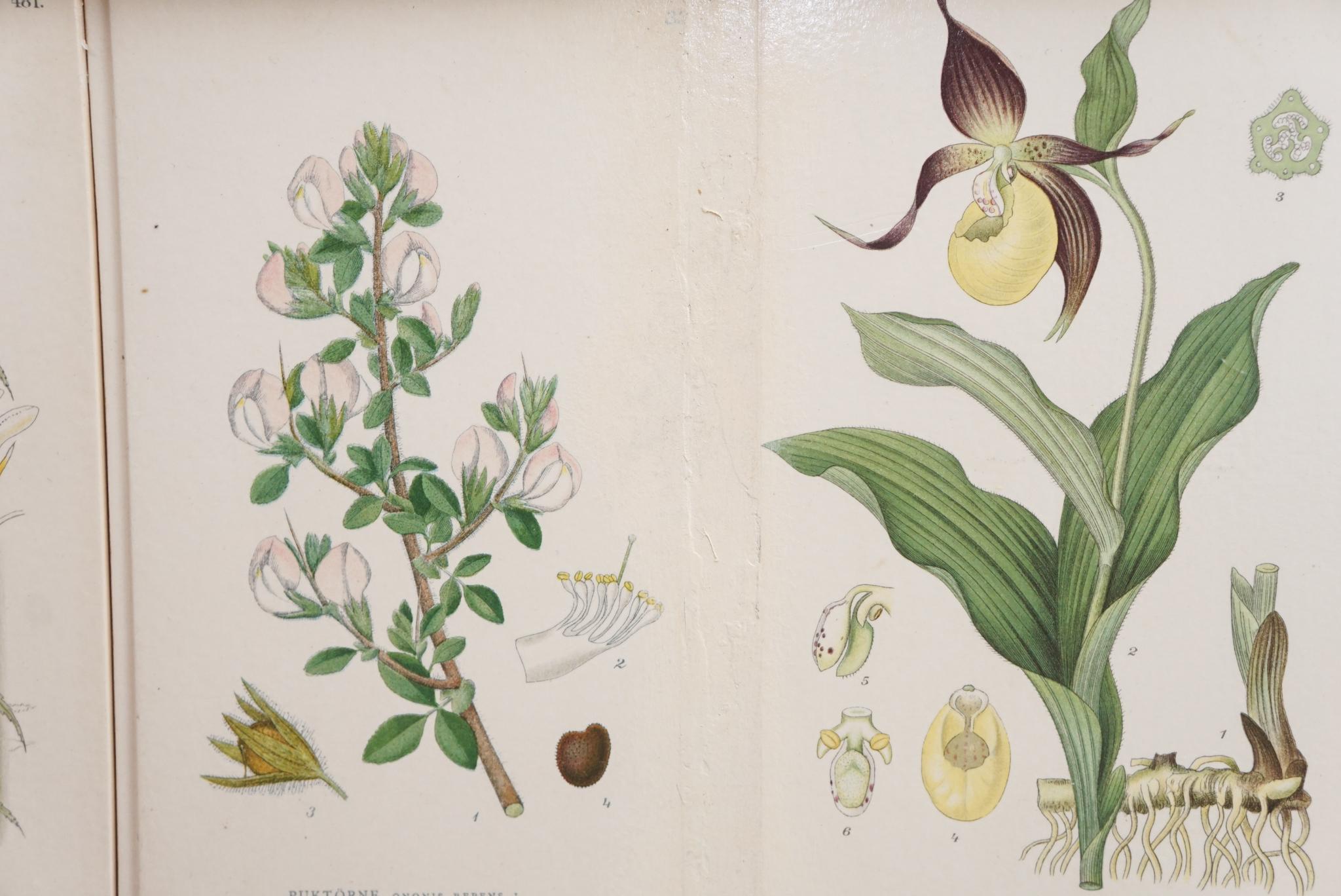 Josef Frank Style Swedish Botanical Cabinet 4