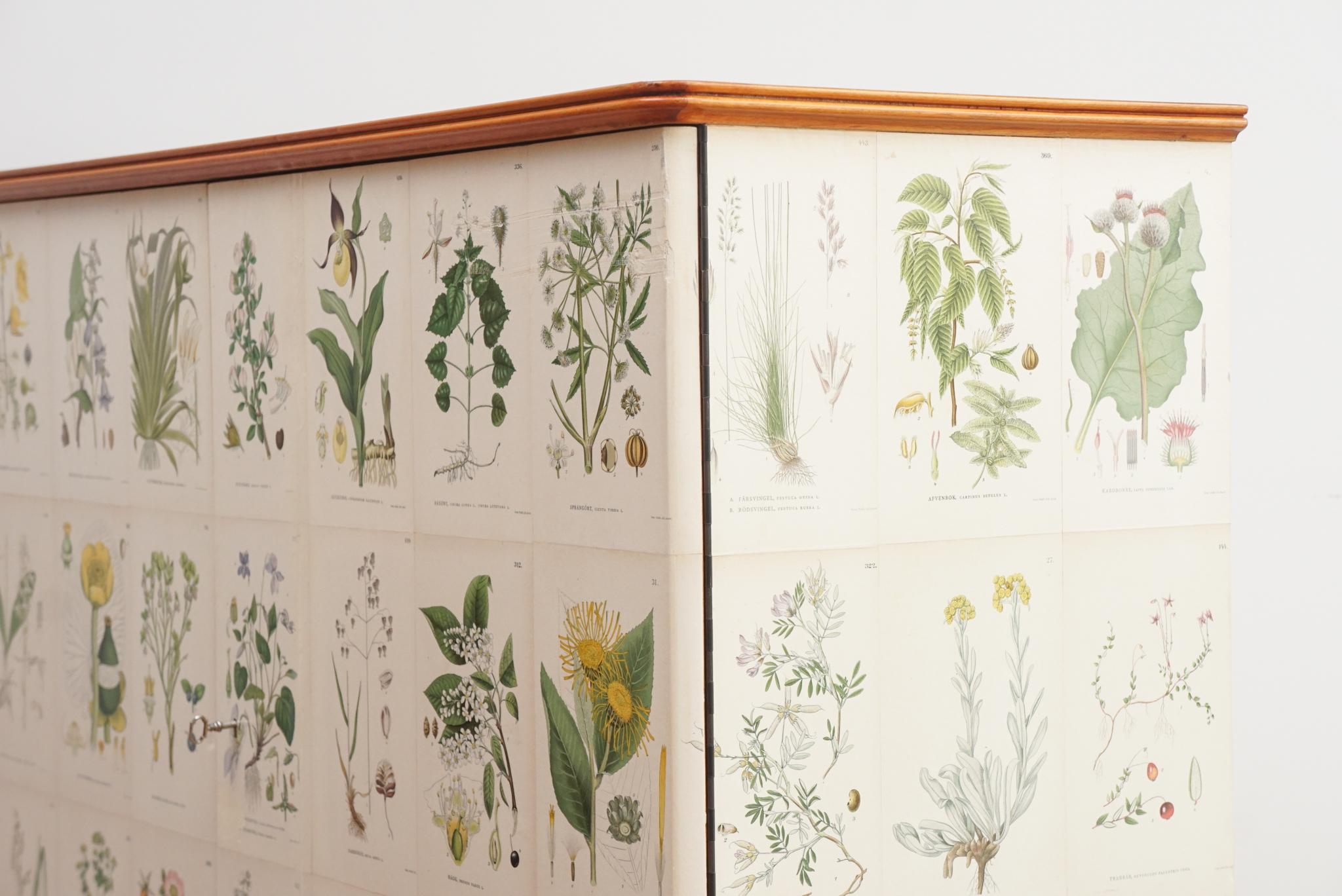 Josef Frank Style Swedish Botanical Cabinet 5