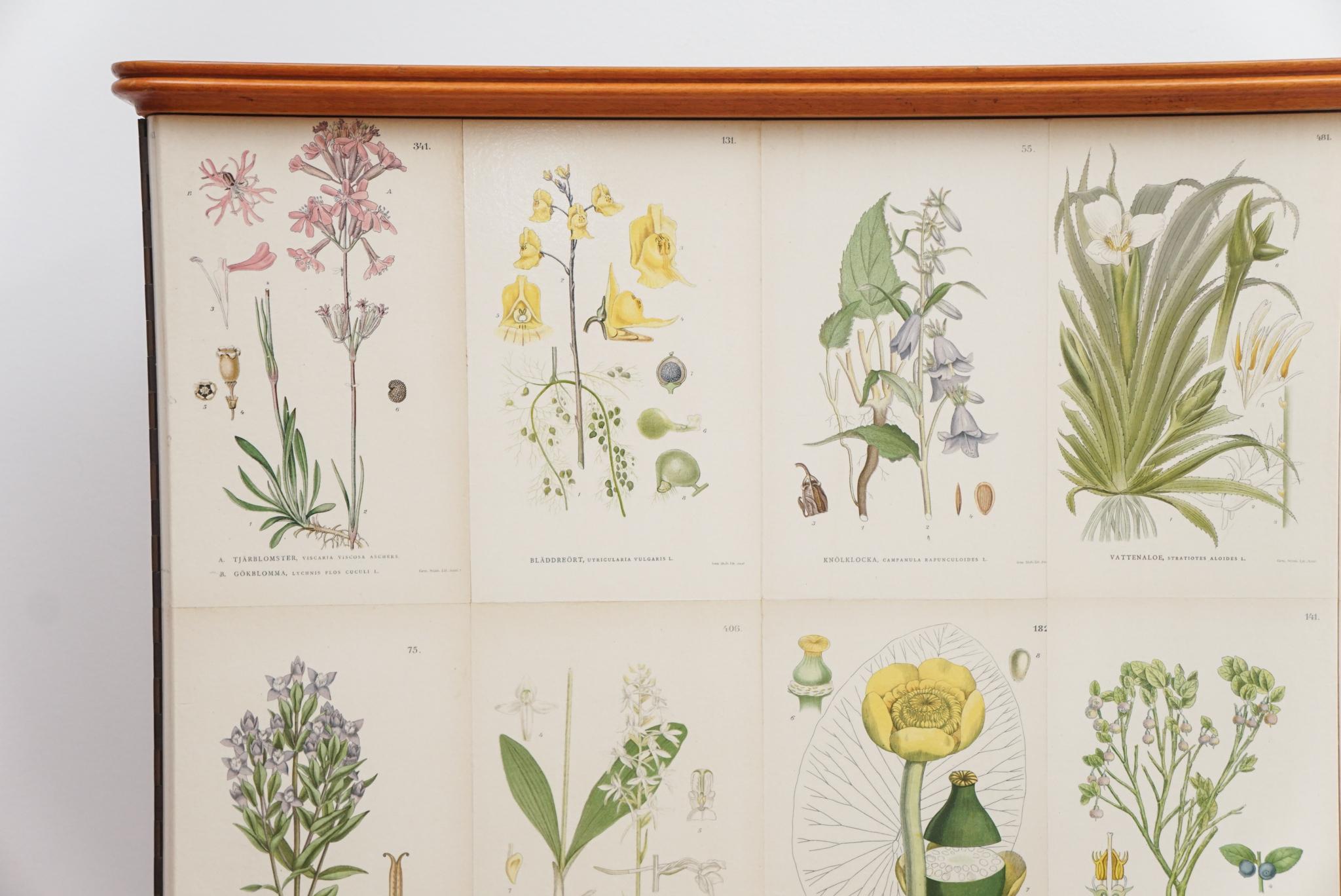 The Josef Frank-style Swedish botanical cabinet, shown here, dates back to the 1930s - 1950s. It has been lovingly restored by removing the old finish and applying a new coat of varnish and wrapping the cabinet in traditional Nordic Flora wallpaper.