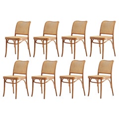 Josef Hoffman Bentwood and Cane Prague Chair for Thonet, 8 available
