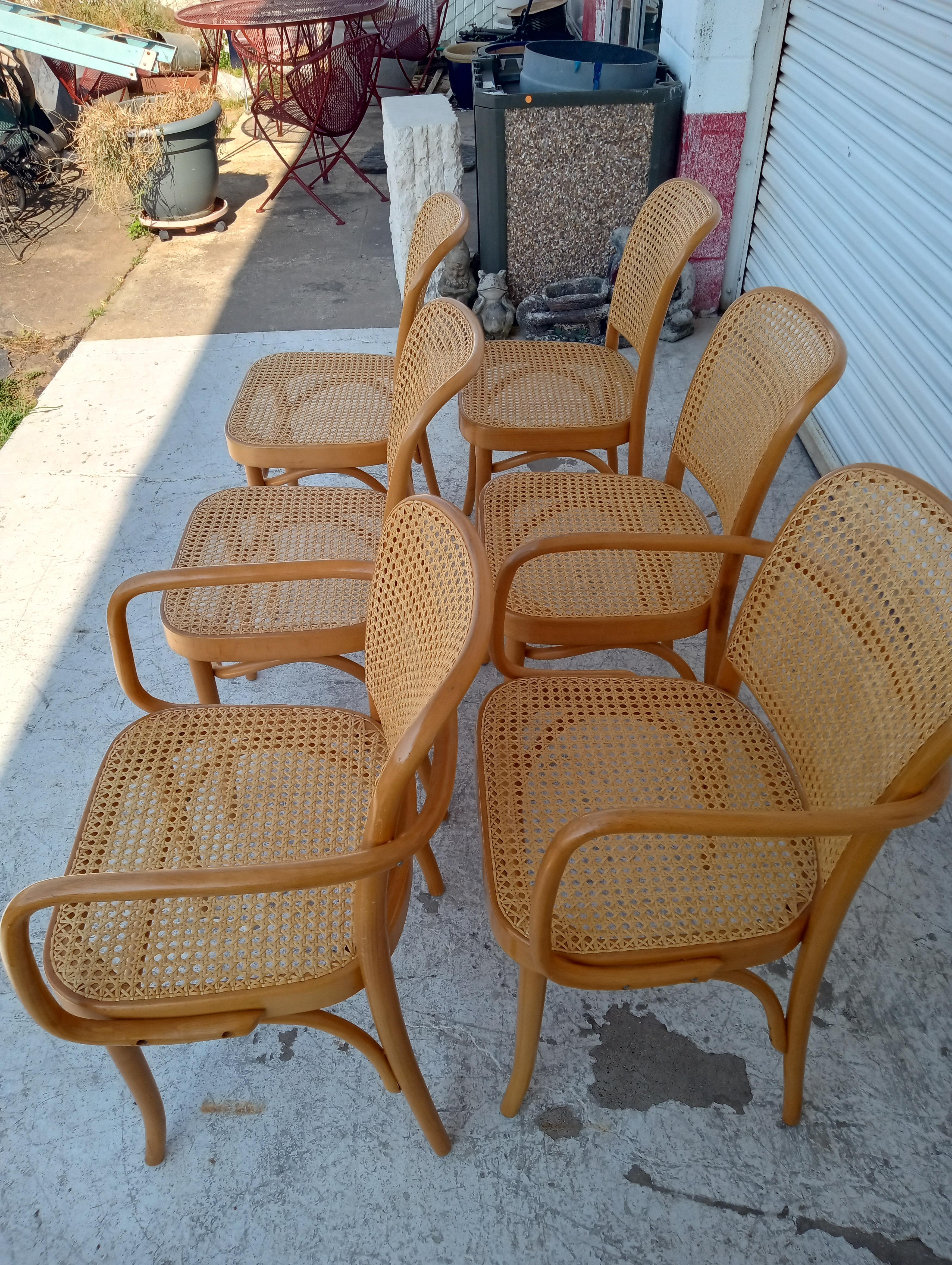 Josef Hoffman für Thonet Satz von sechs Bugholz- und Rohrstühlen (Moderne der Mitte des Jahrhunderts) im Angebot