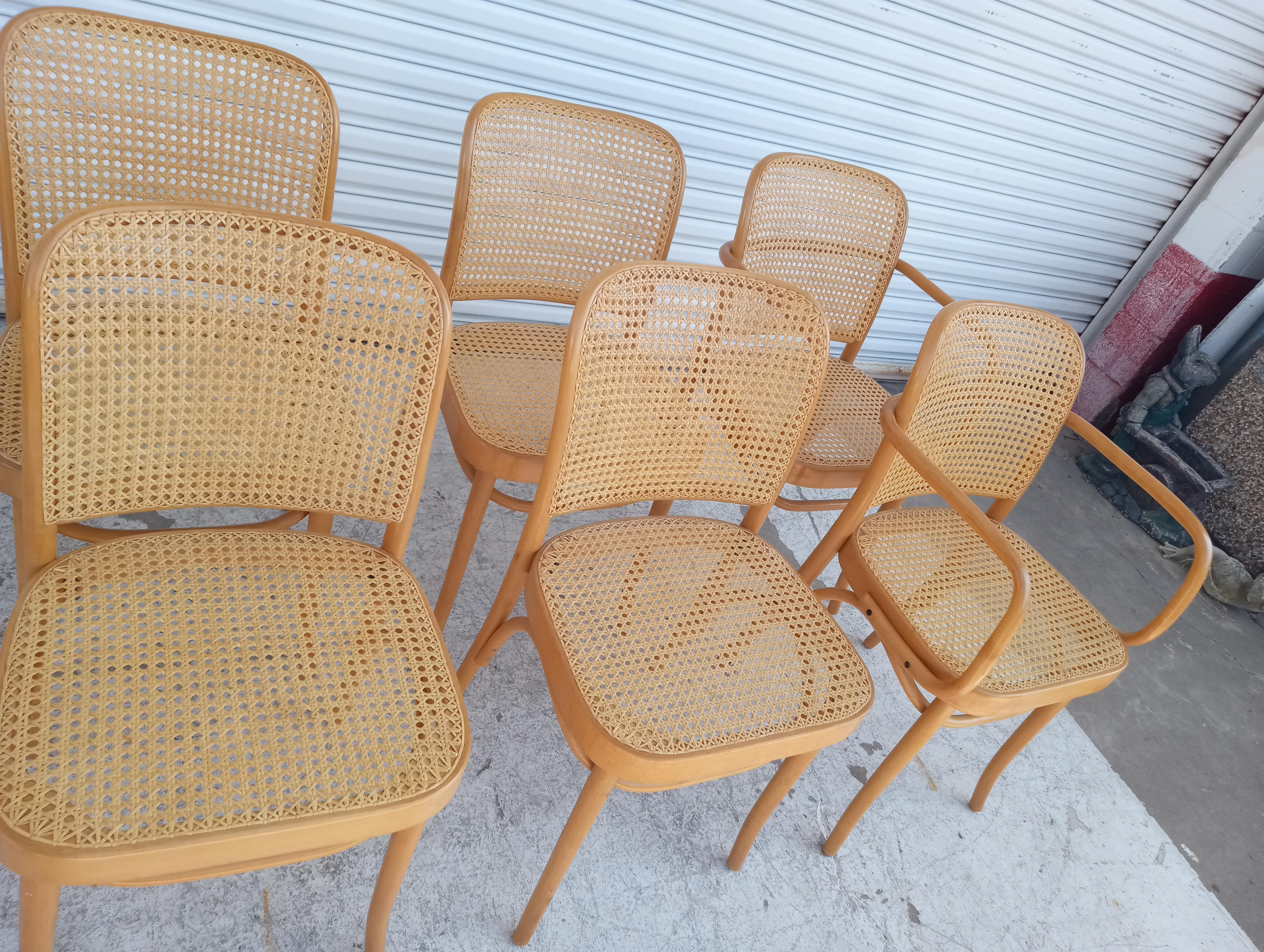 Josef Hoffman für Thonet Satz von sechs Bugholz- und Rohrstühlen (Geflecht) im Angebot