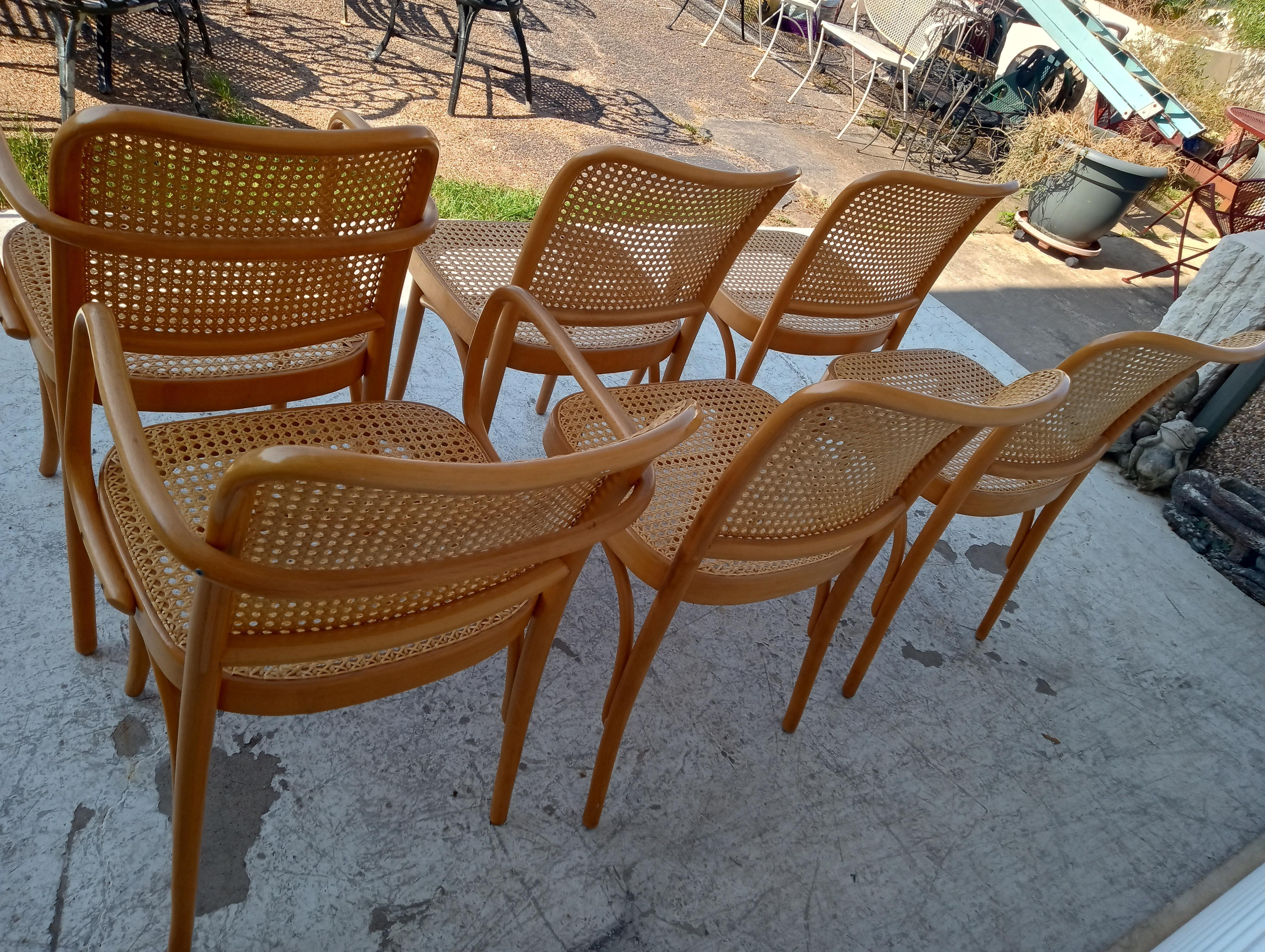 Josef Hoffman für Thonet Satz von sechs Bugholz- und Rohrstühlen im Zustand „Gut“ im Angebot in Pasadena, TX