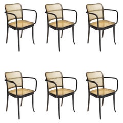 Retro Josef Hoffmann Bentwood Beech Prague Model 811 Chairs in Black and Leather Weave
