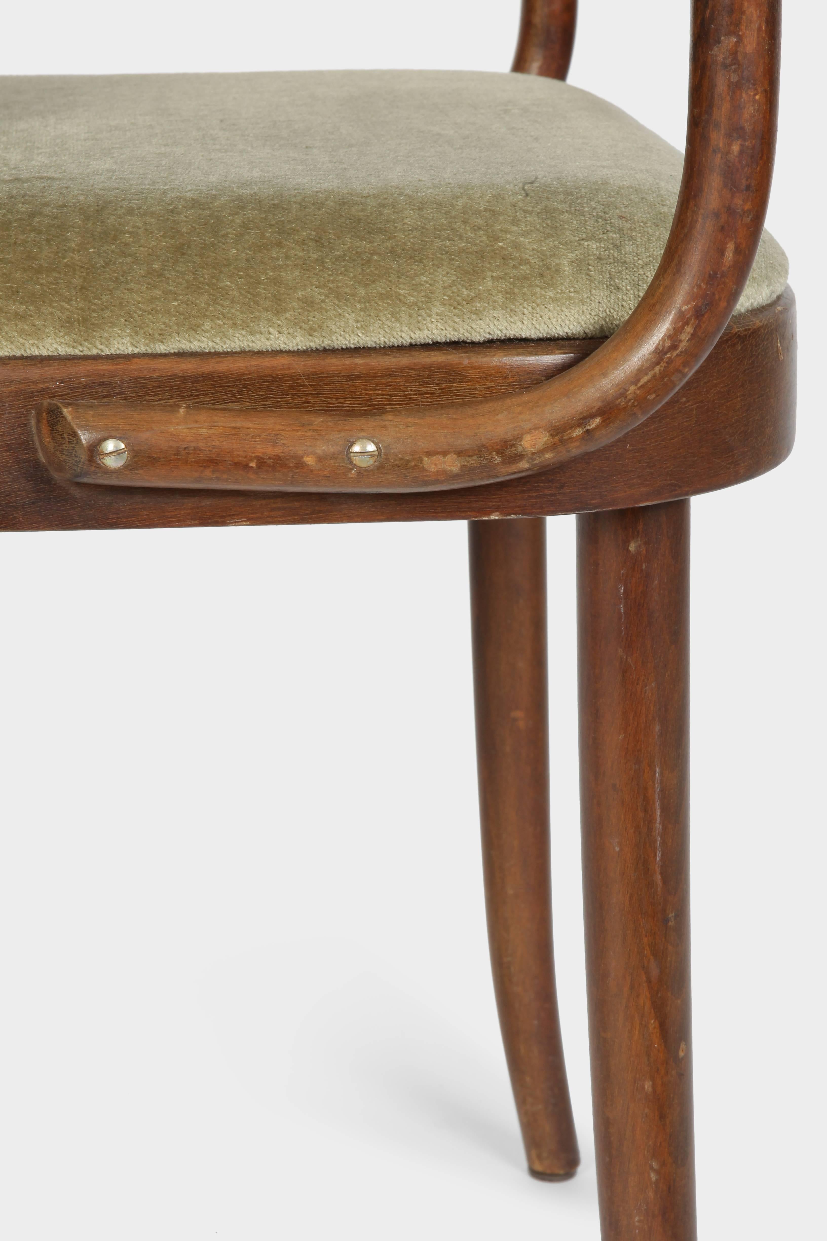 Josef Hoffmann Chairs Model 811 Thonet, 1960s 5