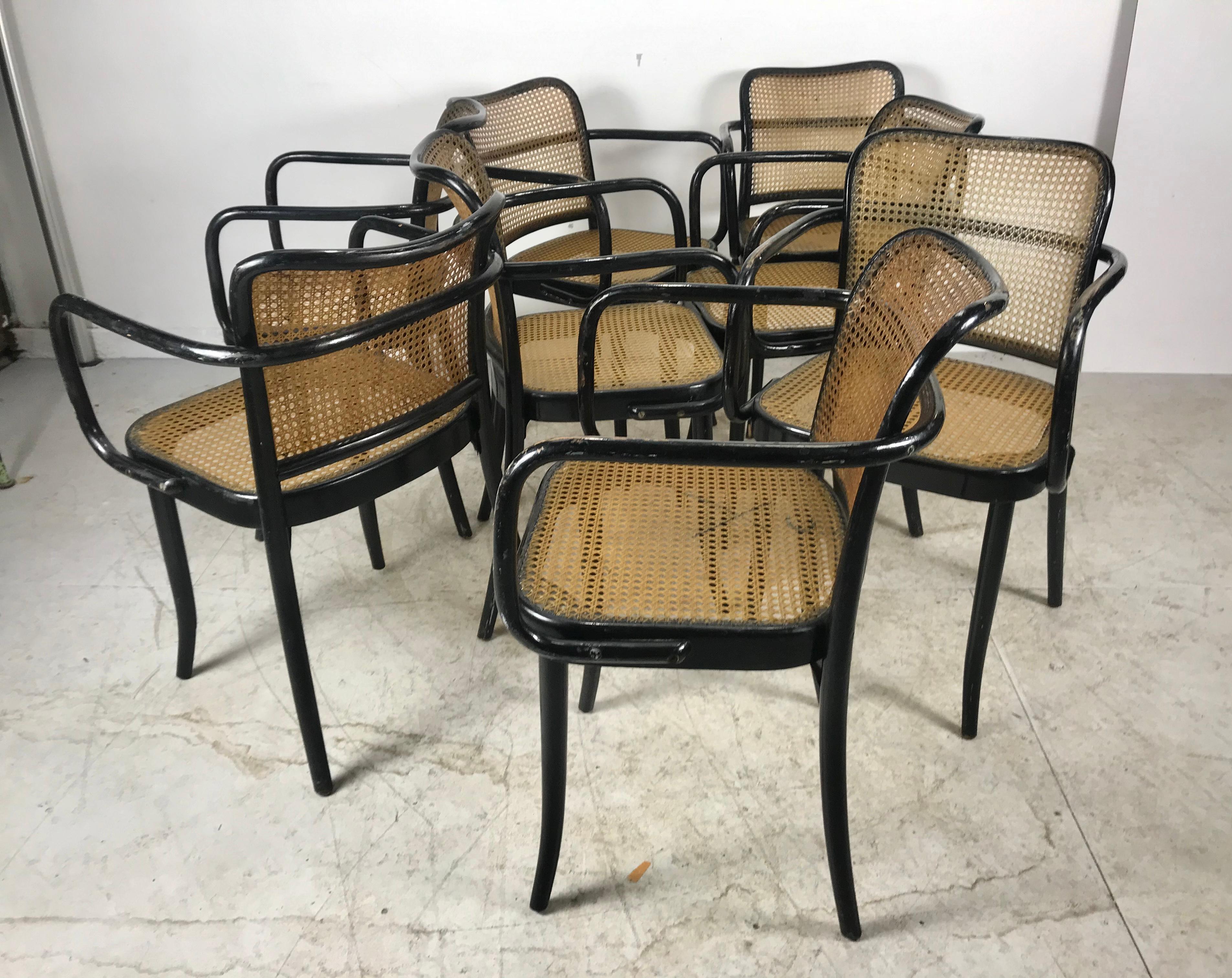 Josef Hoffmann for Stendig Bentwood Cane Dining Chairs, Set of Eight 3